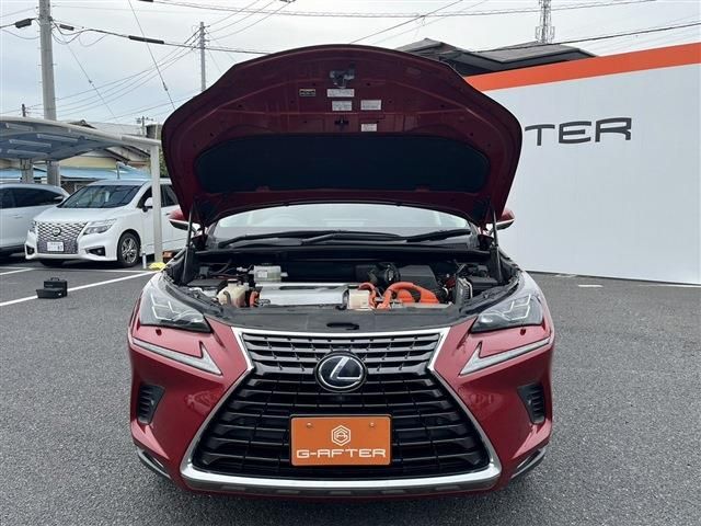 TOYOTA LEXUS NX300h 2018