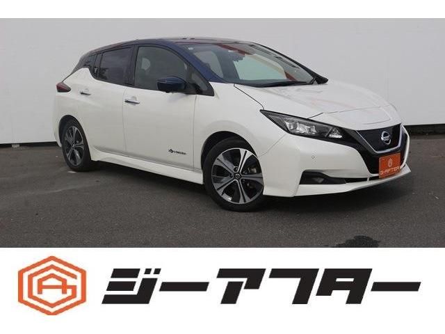 NISSAN LEAF 2020