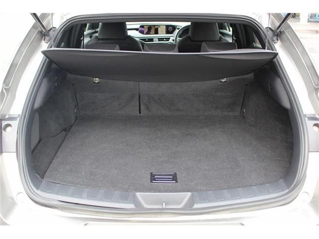 TOYOTA LEXUS UX250h AWD 2018