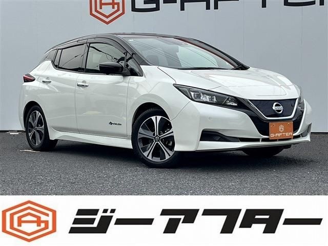NISSAN LEAF 2021