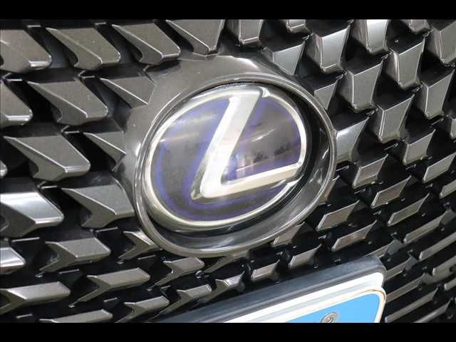 TOYOTA LEXUS UX250h 2019