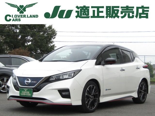 NISSAN LEAF 2018