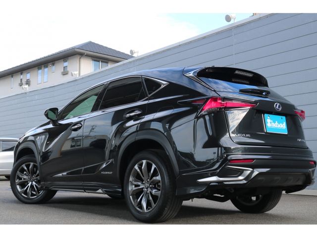 TOYOTA LEXUS NX300h 2020