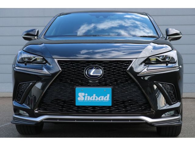 TOYOTA LEXUS NX300h 2020