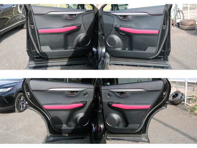 TOYOTA LEXUS NX300h 2020