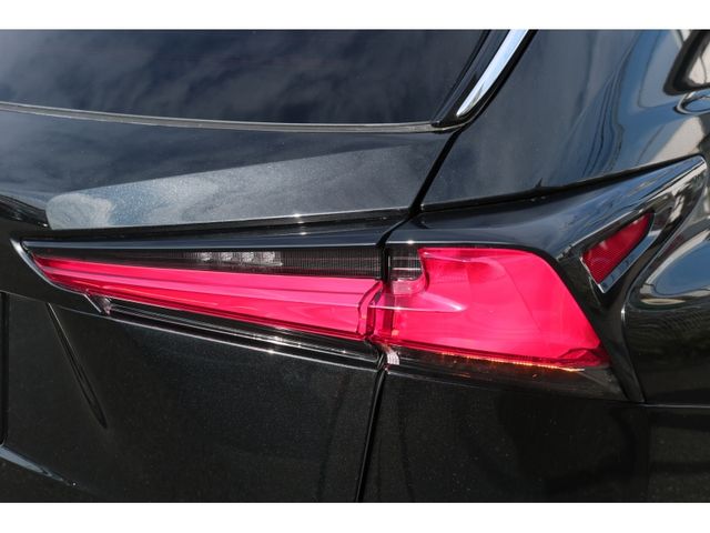 TOYOTA LEXUS NX300h 2020