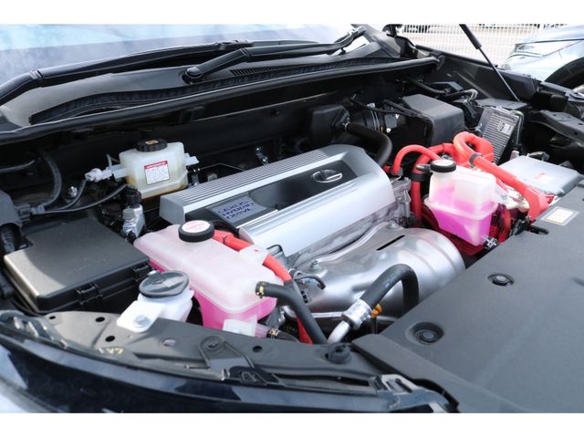 TOYOTA LEXUS NX300h 2020