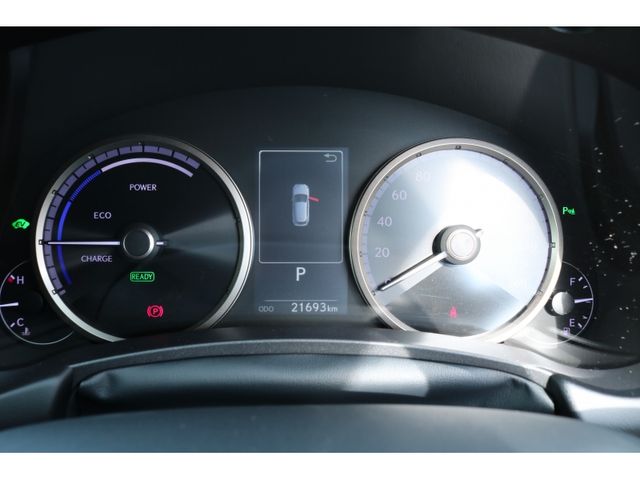 TOYOTA LEXUS NX300h 2020