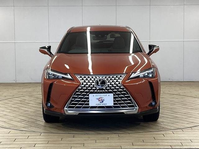 TOYOTA LEXUS UX250h 2022