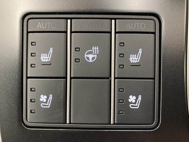 TOYOTA LEXUS UX250h 2022