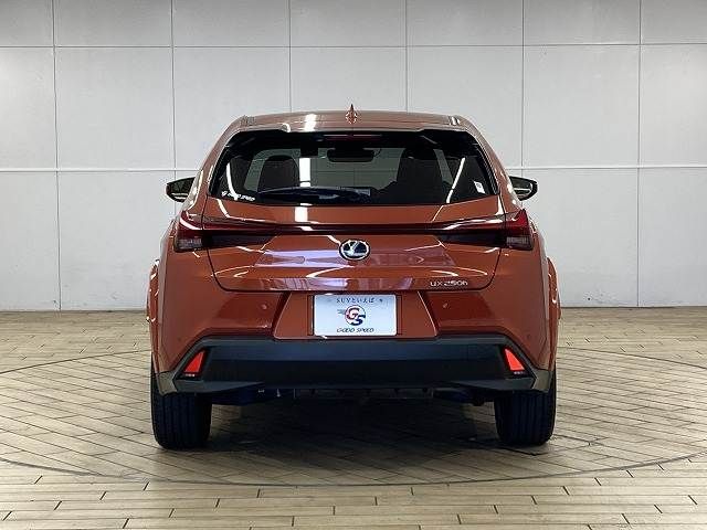 TOYOTA LEXUS UX250h 2022