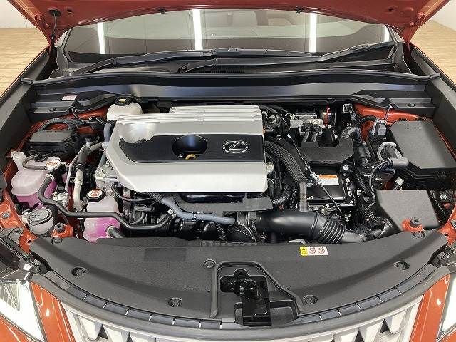 TOYOTA LEXUS UX250h 2022