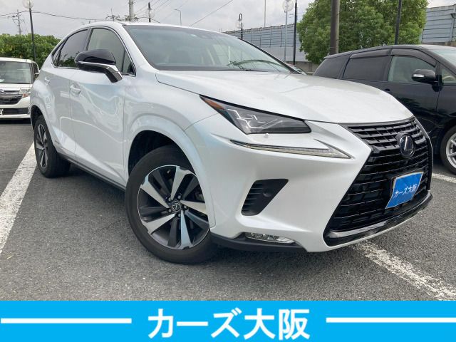 TOYOTA LEXUS NX300h 2018