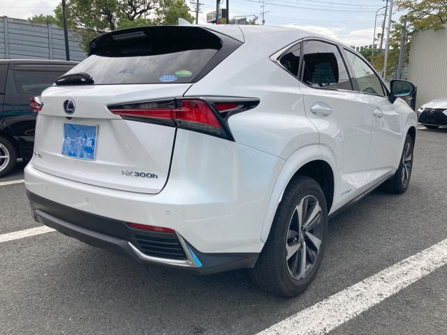 TOYOTA LEXUS NX300h 2018