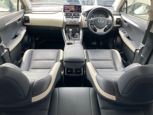 TOYOTA LEXUS NX300h 2018