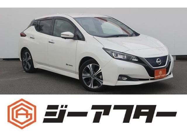 NISSAN LEAF 2020