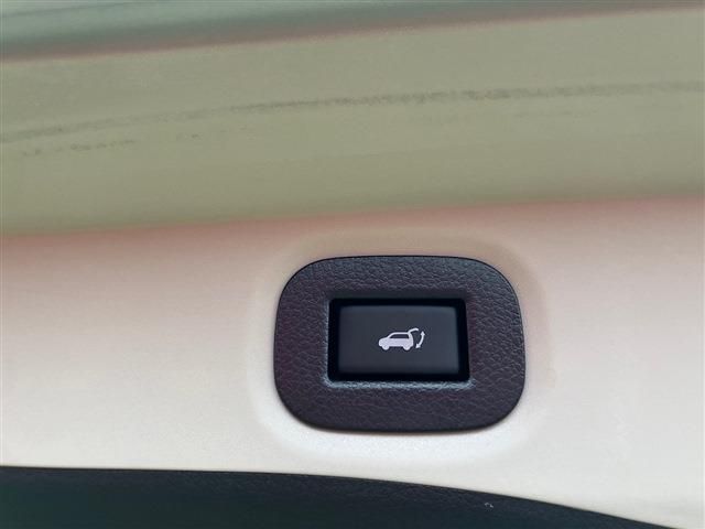 NISSAN X-TRAIL HYBRID 4WD 2019