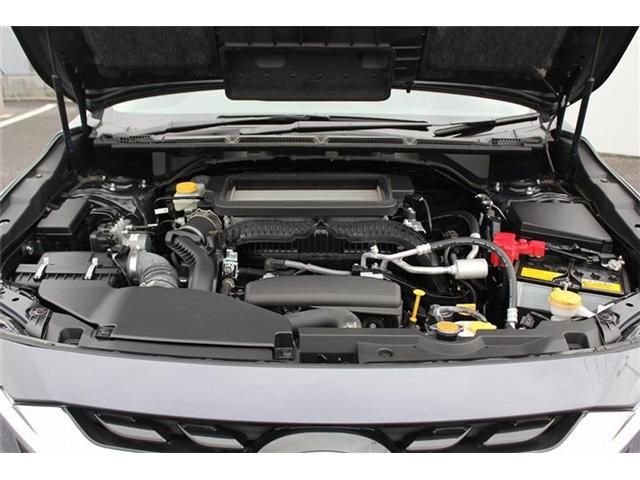 SUBARU LEVORG LAYBACK 2024