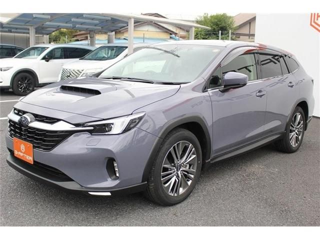 SUBARU LEVORG LAYBACK 2024