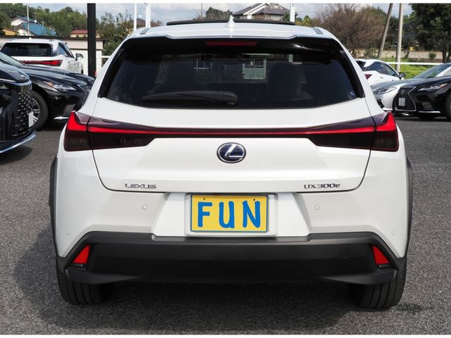 TOYOTA LEXUS UX300e 2021