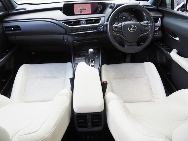 TOYOTA LEXUS UX300e 2021