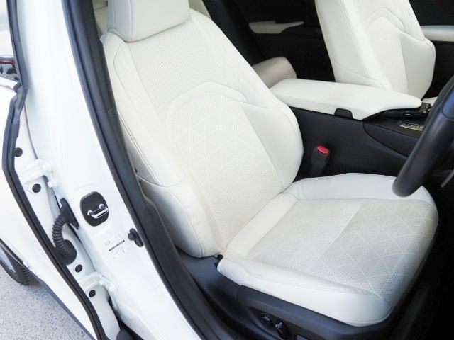 TOYOTA LEXUS UX300e 2021