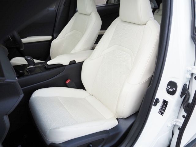 TOYOTA LEXUS UX300e 2021