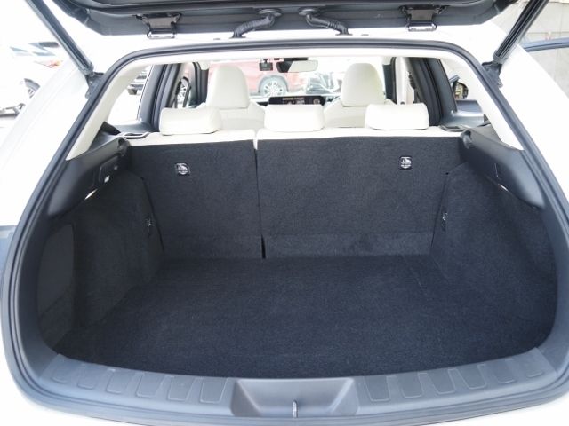 TOYOTA LEXUS UX300e 2021