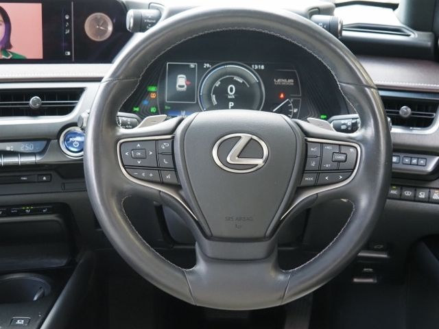 TOYOTA LEXUS UX300e 2021