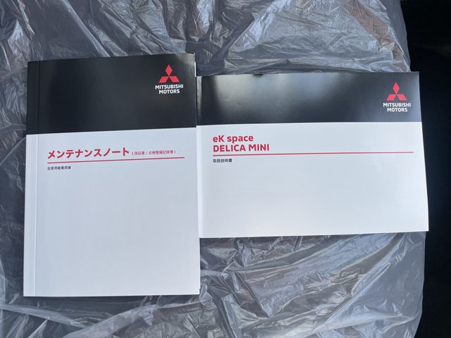 MITSUBISHI DELICA MINI 2025
