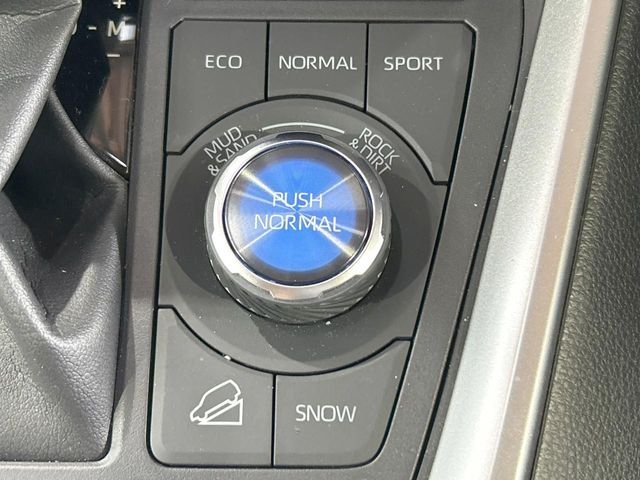 TOYOTA RAV4 4WD 2022