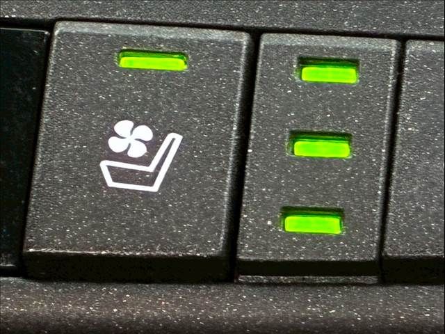 TOYOTA LEXUS NX300h 2020