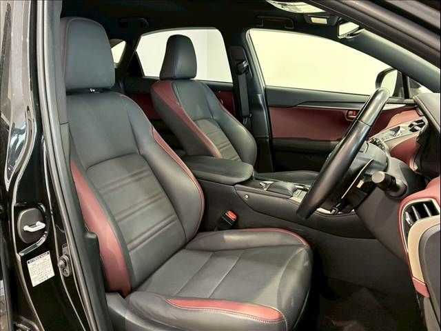 TOYOTA LEXUS NX300h 2020