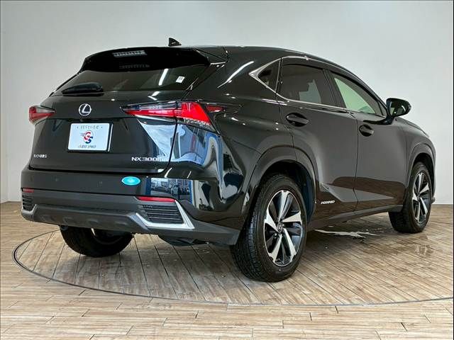 TOYOTA LEXUS NX300h 2020