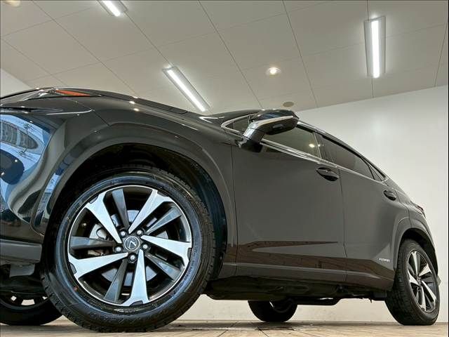 TOYOTA LEXUS NX300h 2020