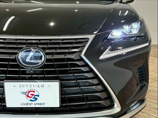 TOYOTA LEXUS NX300h 2020