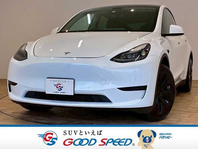 TESLA TESLA MODEL Y 2022