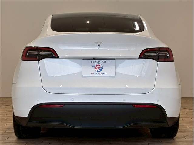 TESLA TESLA MODEL Y 2022