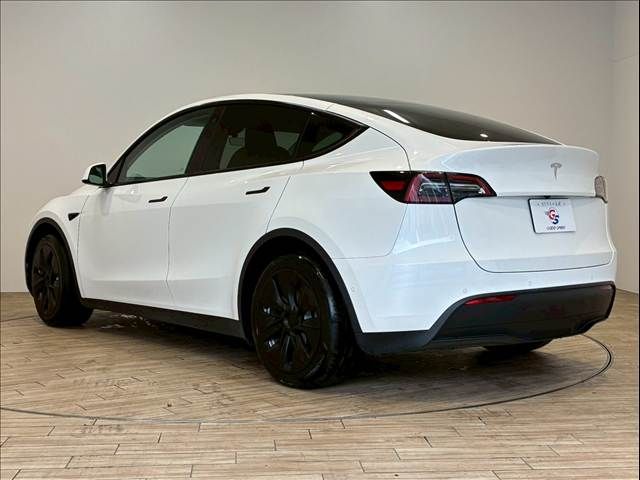 TESLA TESLA MODEL Y 2022
