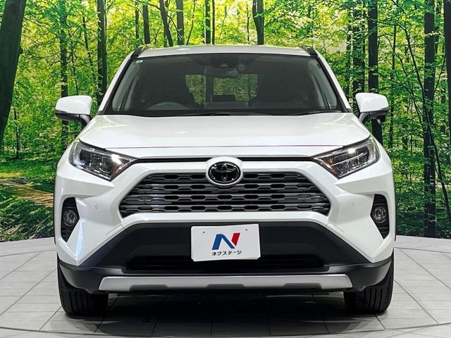 TOYOTA RAV4 4WD 2019