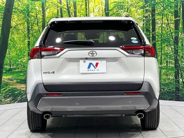 TOYOTA RAV4 4WD 2019