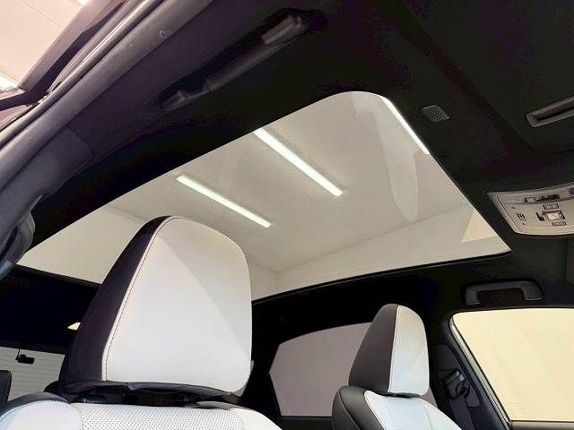 TOYOTA LEXUS NX300h 2018