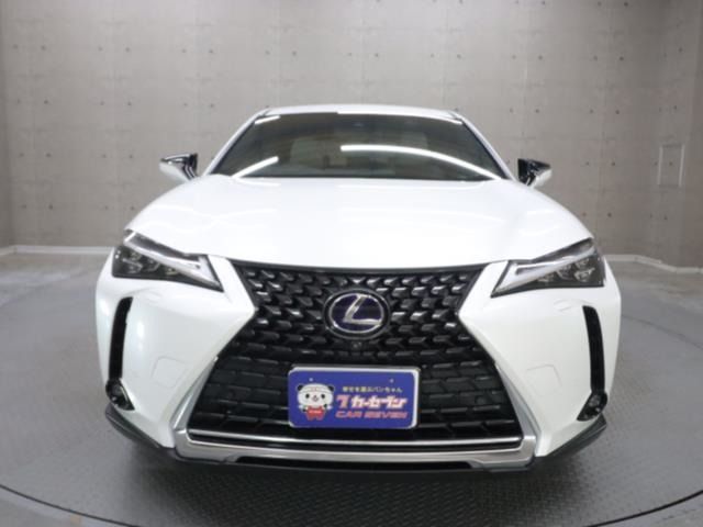 TOYOTA LEXUS UX300e 2021