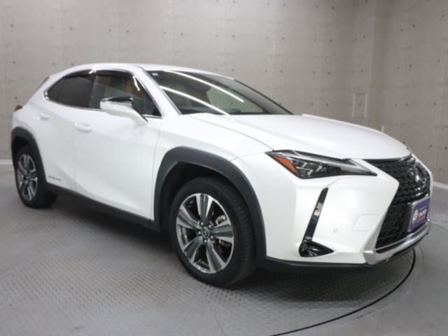 TOYOTA LEXUS UX300e 2021
