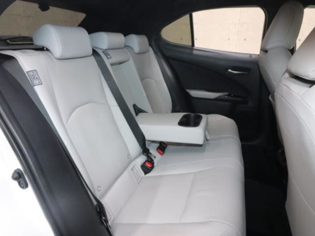 TOYOTA LEXUS UX300e 2021