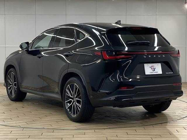 TOYOTA LEXUS NX350h 2023