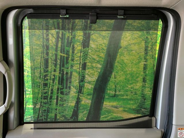 NISSAN DAYZ ROOX 2014