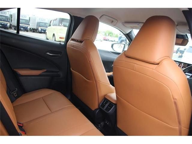 TOYOTA LEXUS UX250h 2018