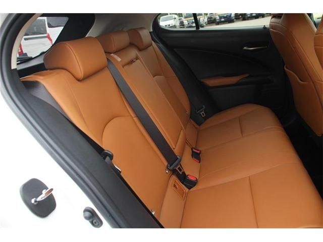 TOYOTA LEXUS UX250h 2018