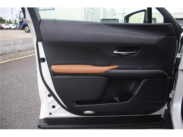 TOYOTA LEXUS UX250h 2018